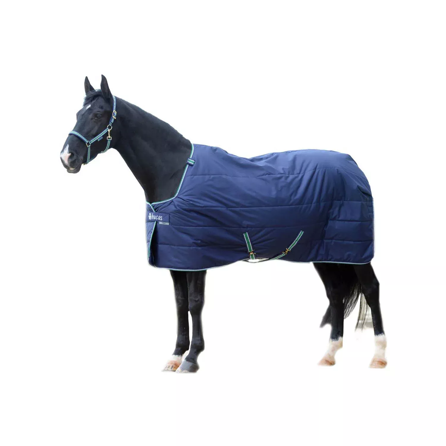 Quilt Stable Rug Stay-Dry 300g
