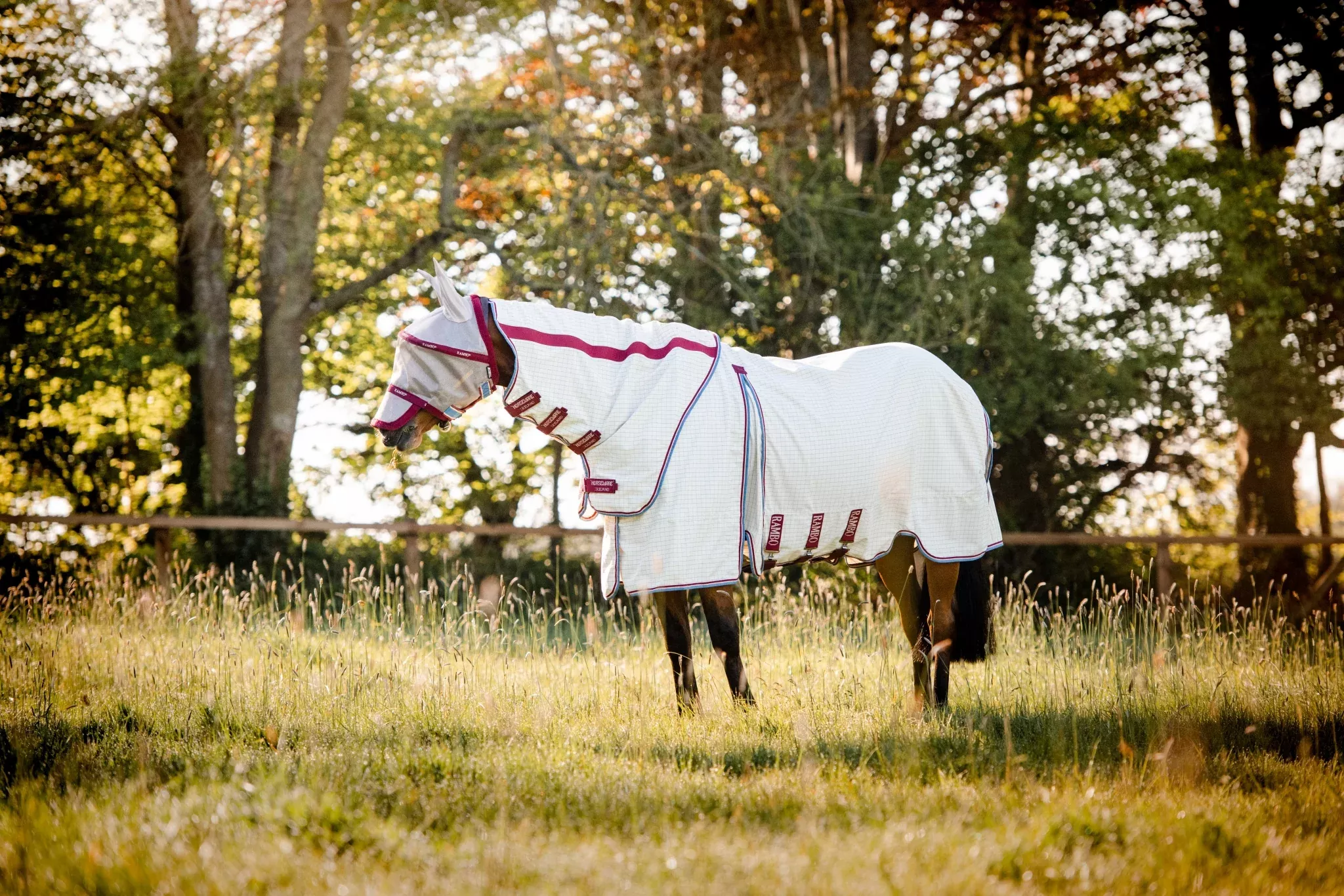 Rambo Optimo Supreme Summer Sheet (No Fill)