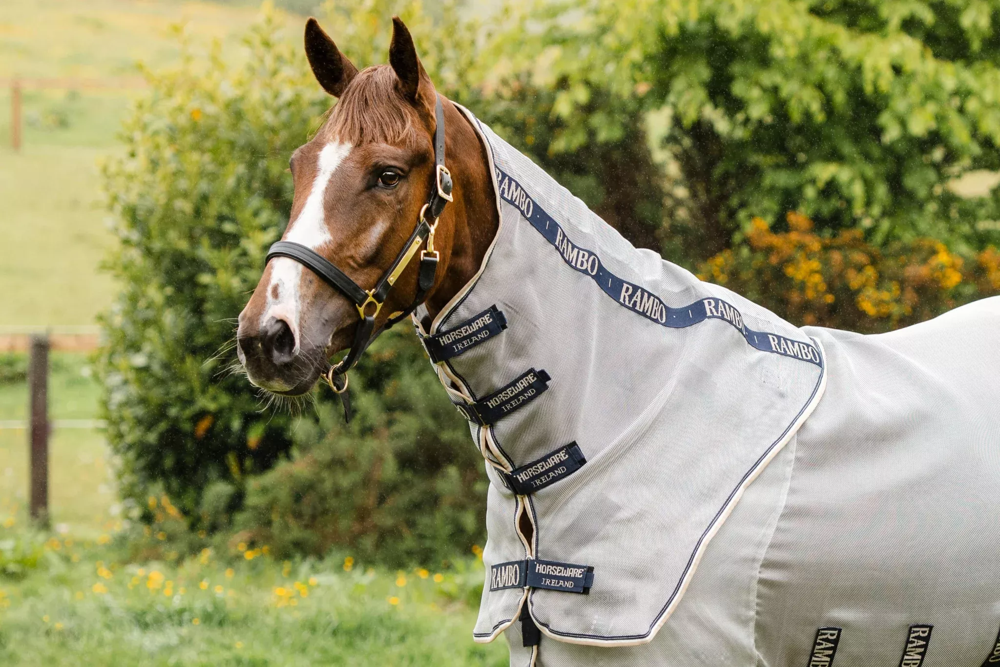 Rambo Protector Neck Cover