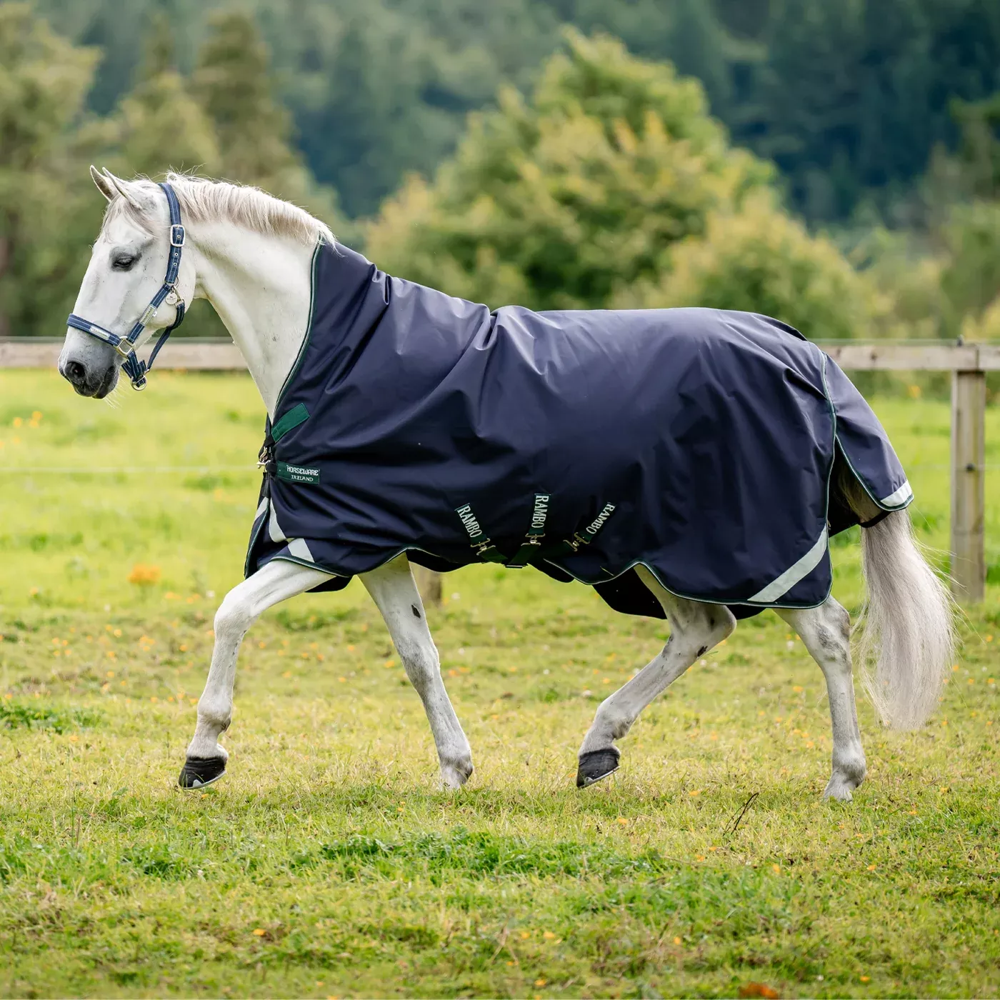 Rambo Wug 1680D Turnout Blanket 0 g