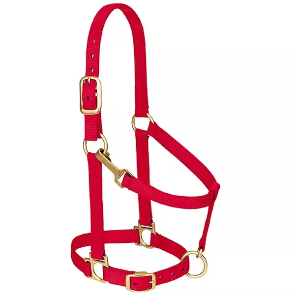 Red Nylon Basic Adjustable Chin And Throat Snap Horse Halter By Weaver Lether