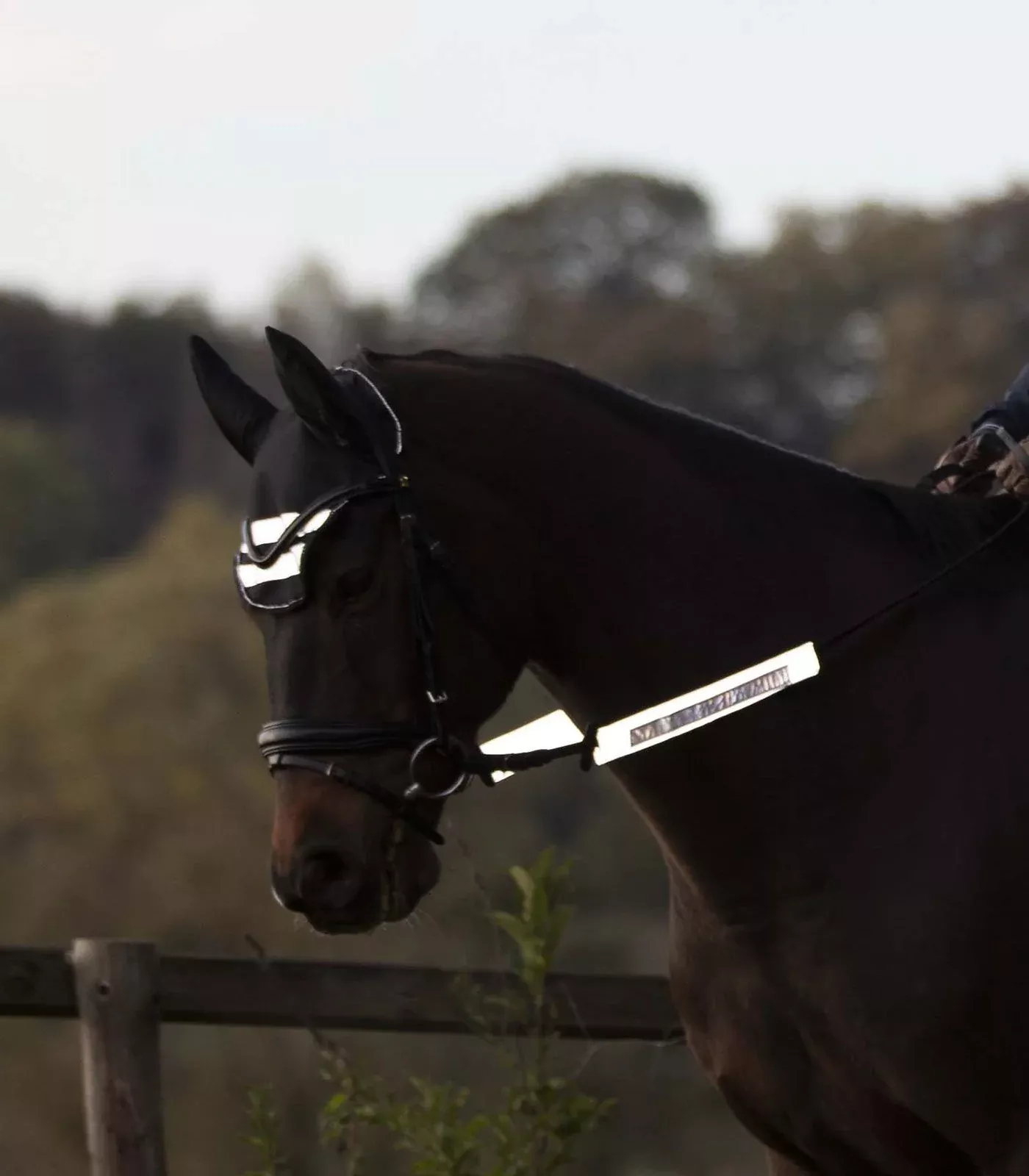 Reflex Reflective Bridle Set