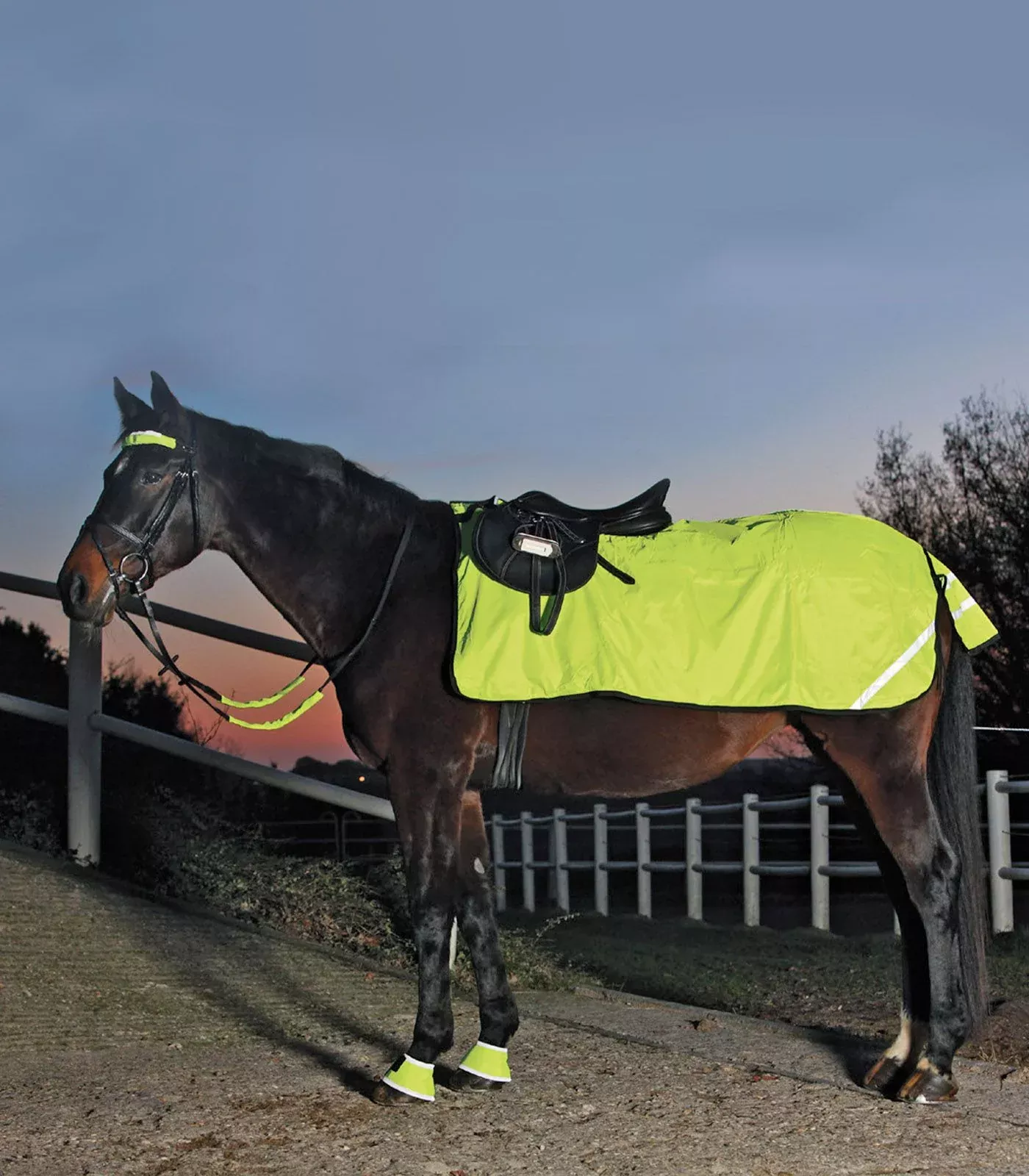 Reflex Reflective Winter Exercise Sheet