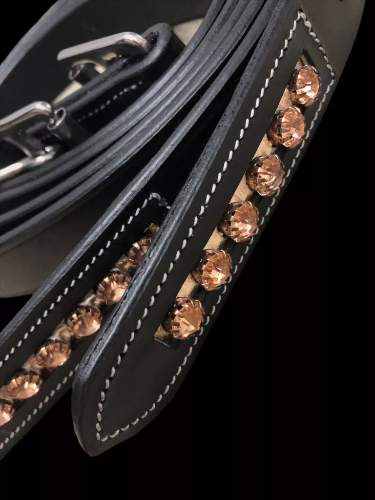 Ritzy EQ Ariana Stirrup Leathers