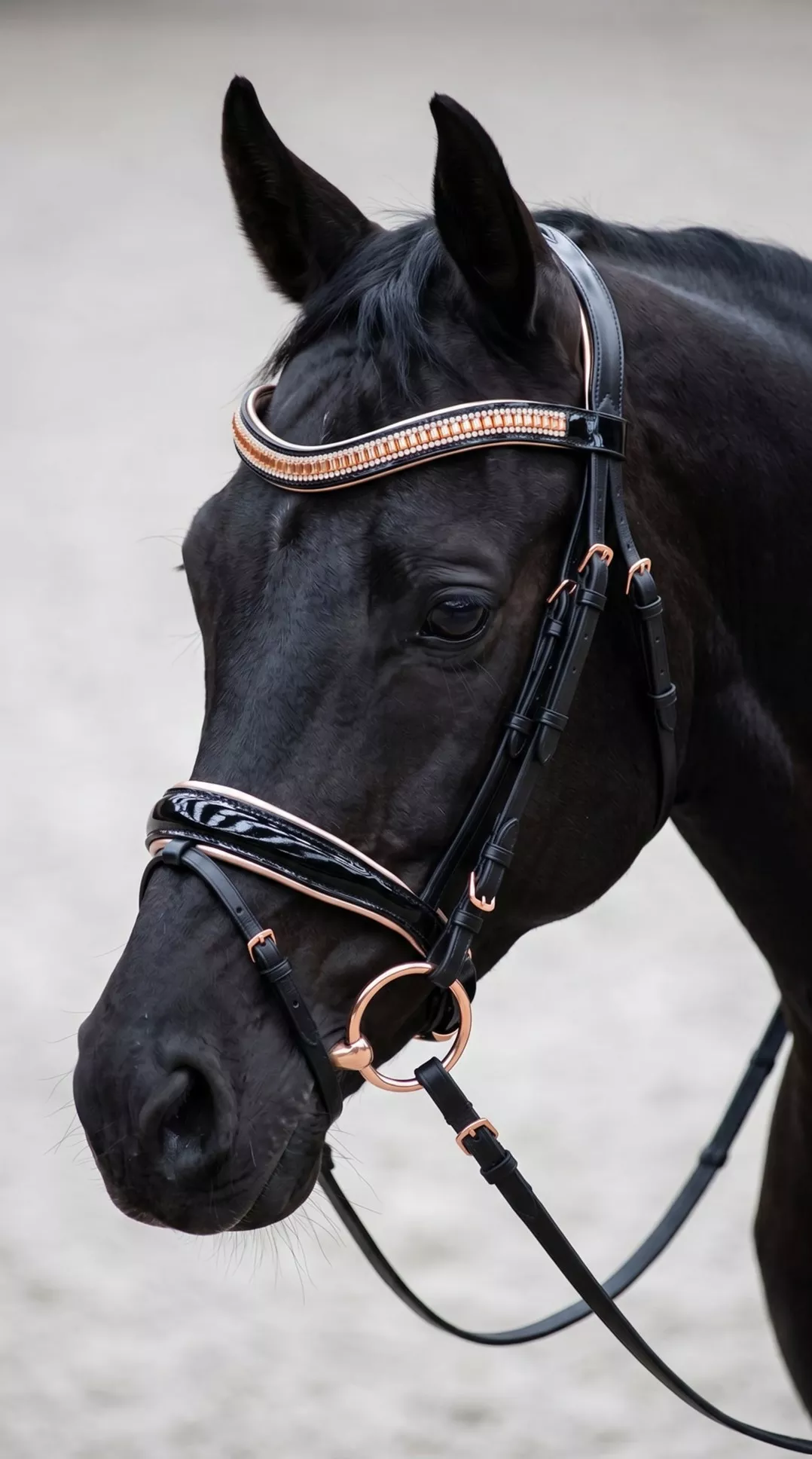 Ritzy Eq Knock Your Socks Off Bridle