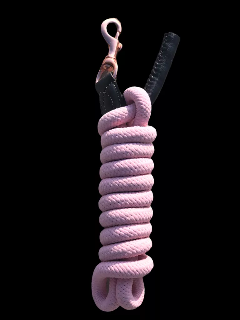 Ritzy EQ Lead Rope Pink and Rose Gold