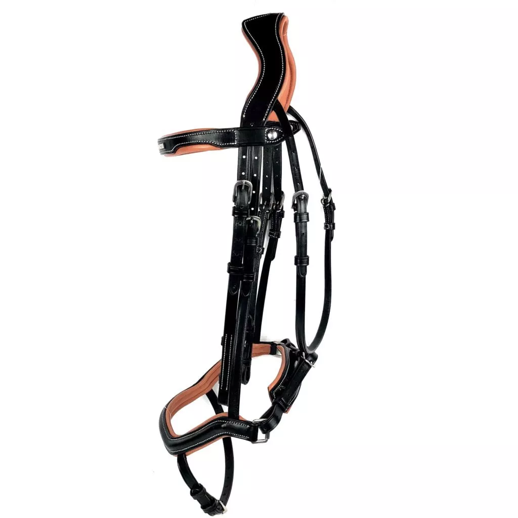 Ritzy EQ Saint Forgives Bridle