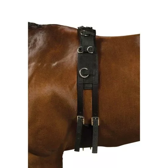 Roma Kincade Lunge Roller