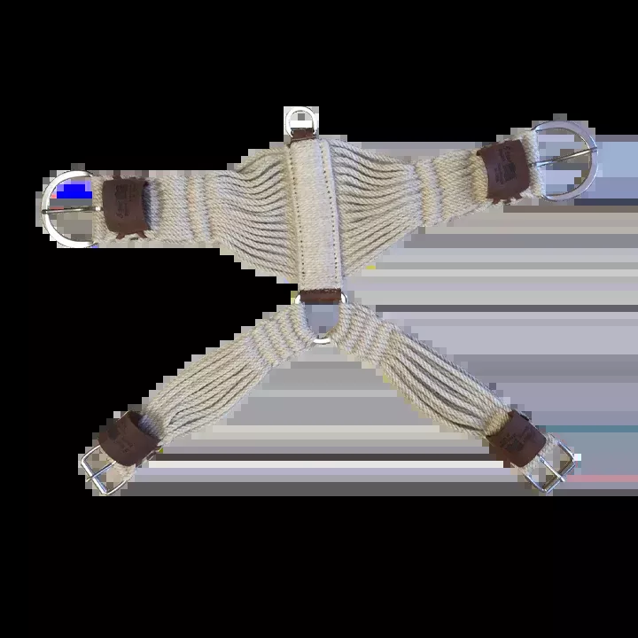 The Roper Y-Cinch