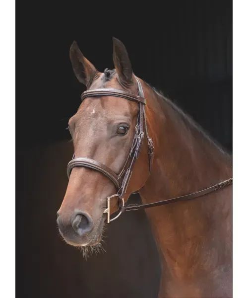 Rossano Florence Bridle