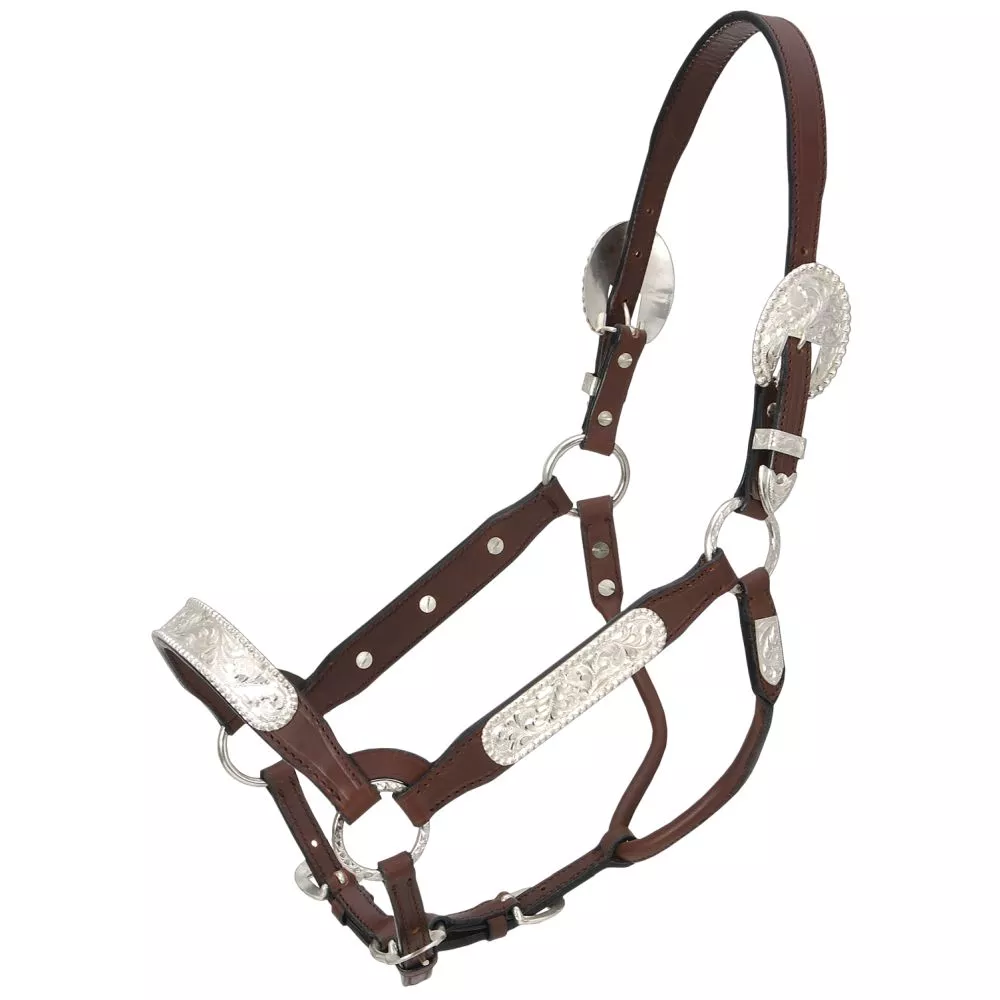 Royal King Berry Edge Congress Show Halter – Yearling