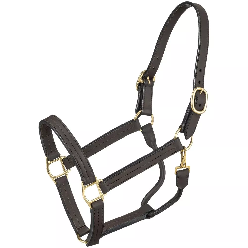 Royal King Premium Leather Halter with Snap
