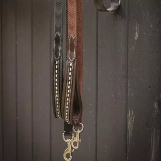 Rubber Dog Leash