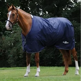 Saxon Defiant Blanket 600D