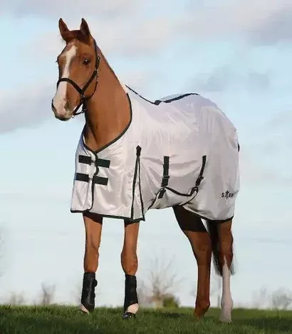 Saxon Mesh w/ Gusset Belly Wrap Standard Neck Fly Sheet