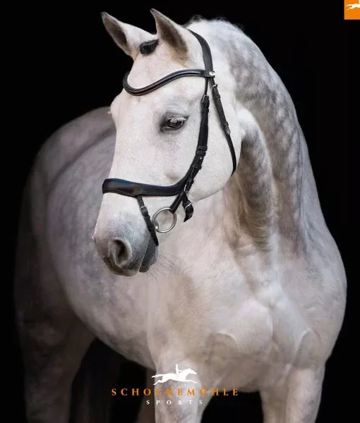 Schockemoehle Sports Equitus Alpha Bridle