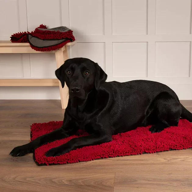 Scruffs Noodle Dry Mat Dog Bed
