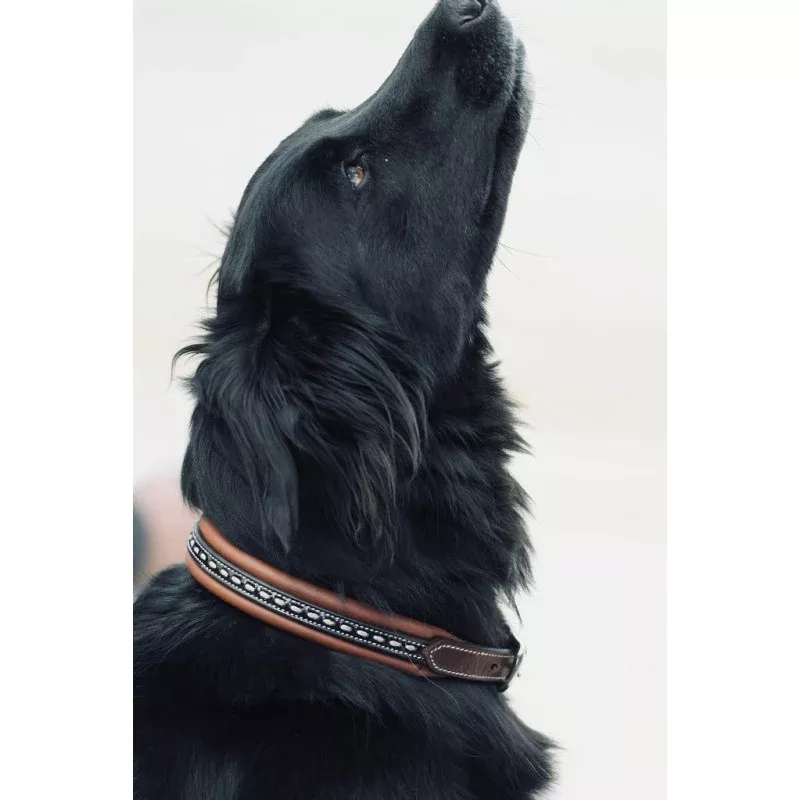 Sellier Dog Collar