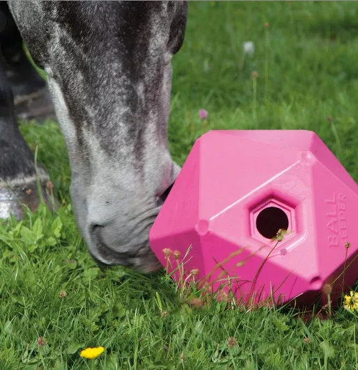 Shire's Ball Feeder