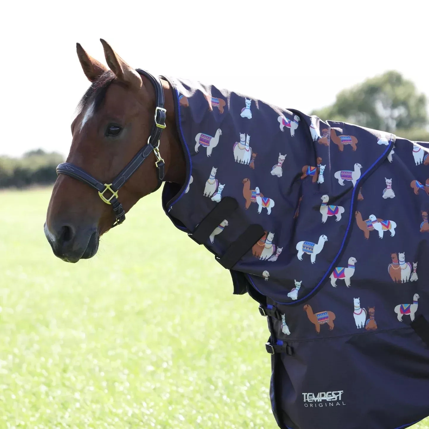 Shires Tempest Original Lite Neck Cover