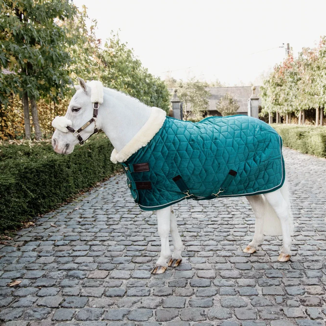 Show Rug Velvet Emerald Tiny