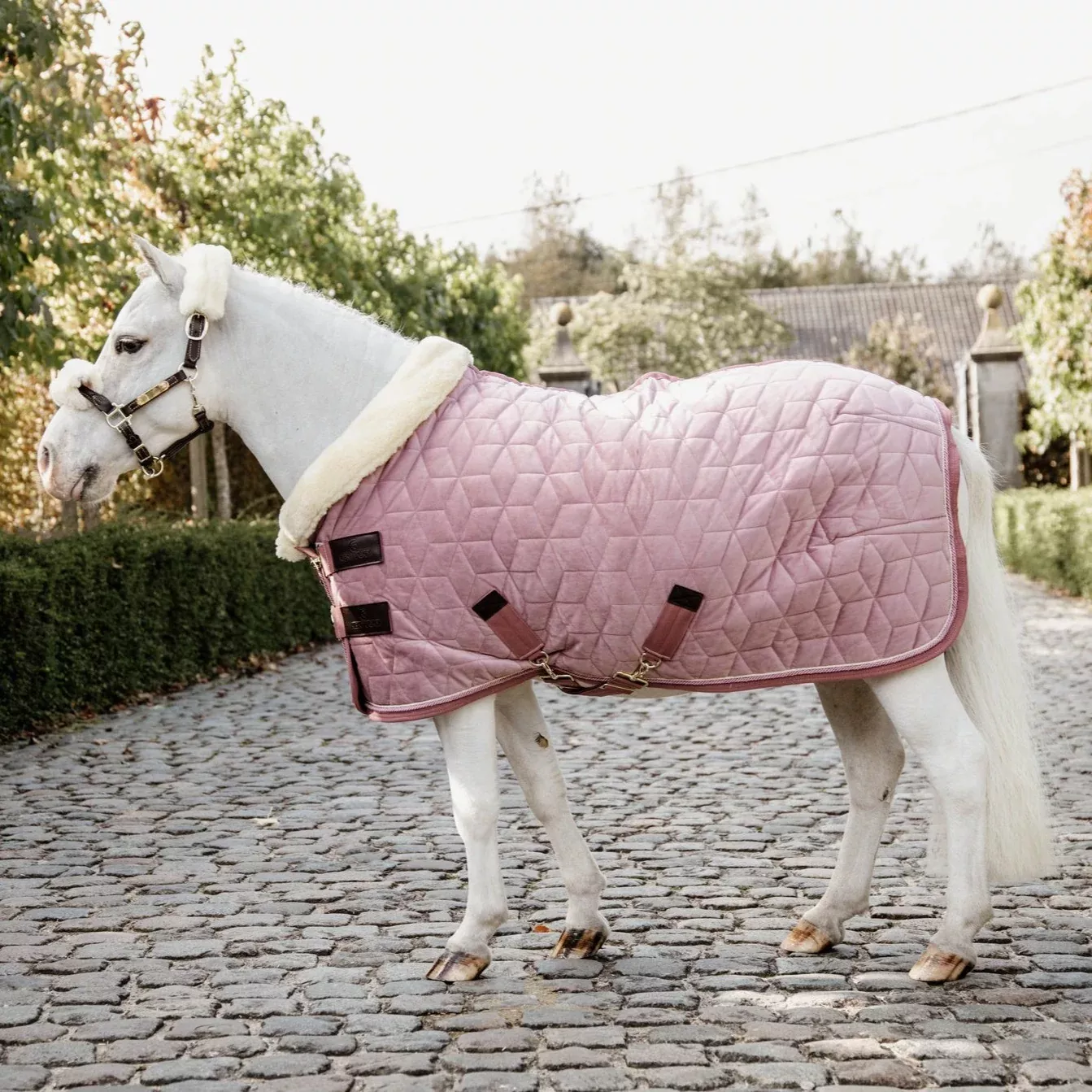Show Rug Velvet Old Rose Tiny