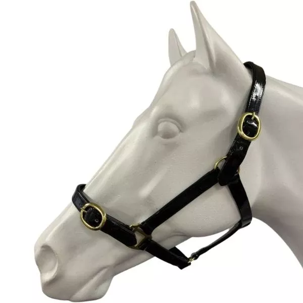 Showcraft PVC Brass Headcollar