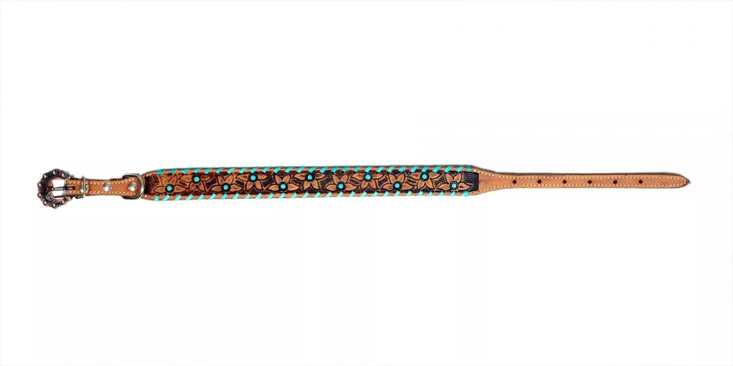 Showman Couture Genuine leather dog collar with teal rawhide