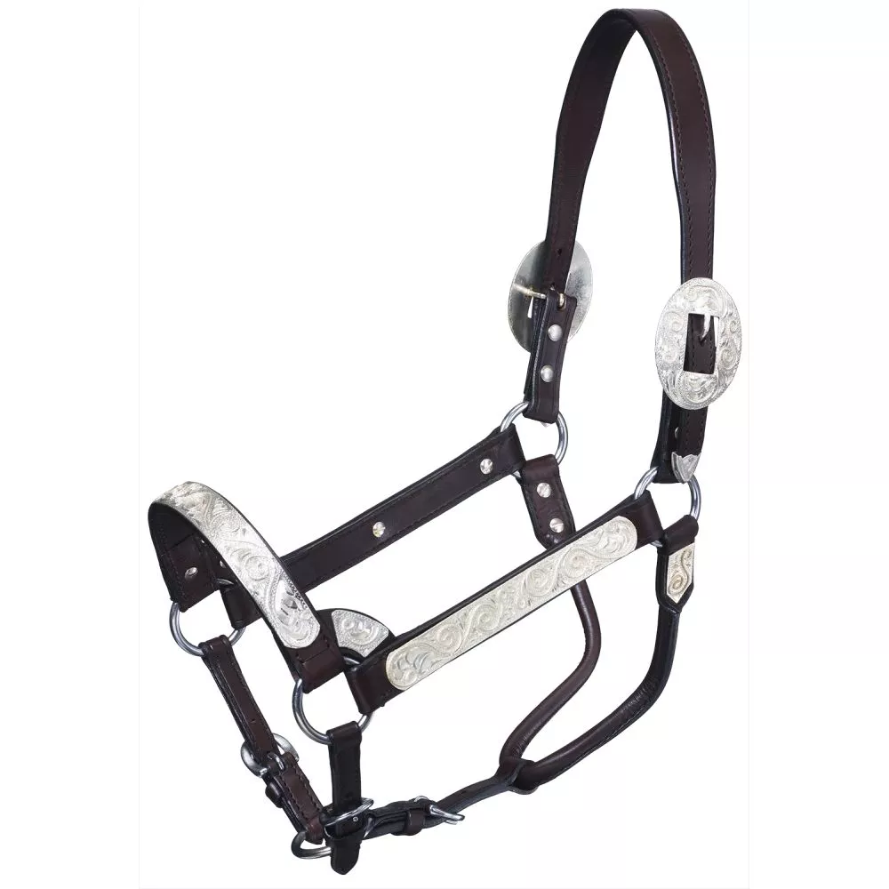 Silver Royal Silver Scroll Show Halter
