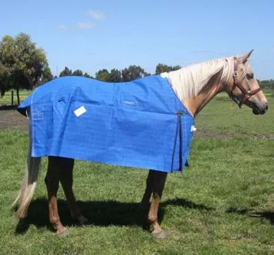 Skye Park Oxford Deluxe Lined Canvas Rug