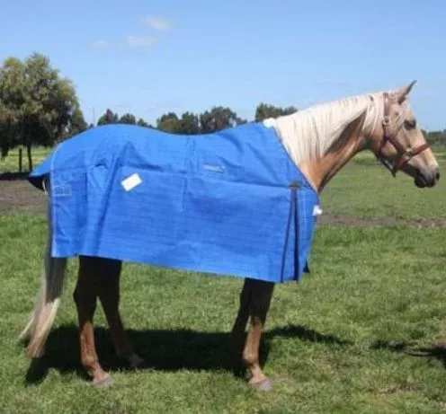 Skye Park Oxford Unlined Canvas Rug