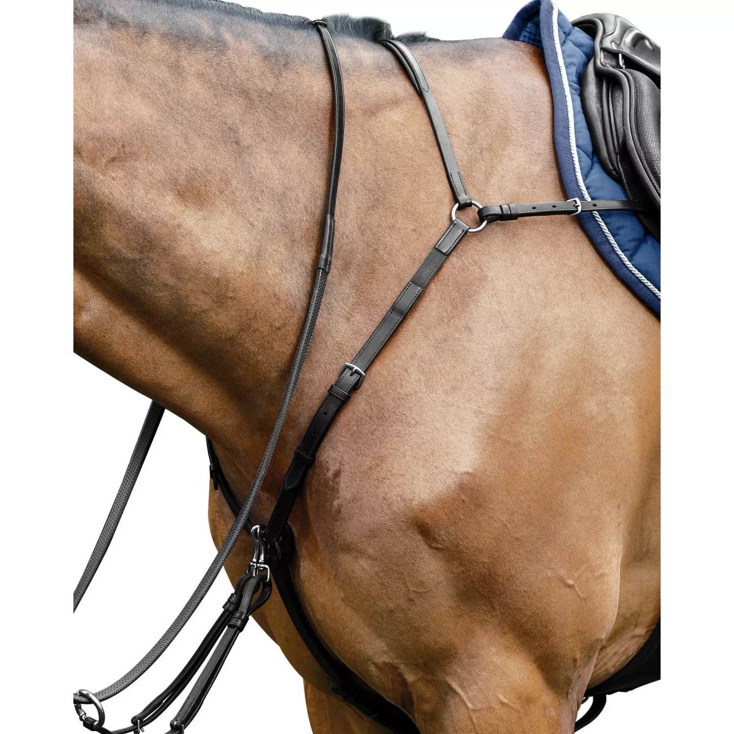 Special Bridge Breastplate
