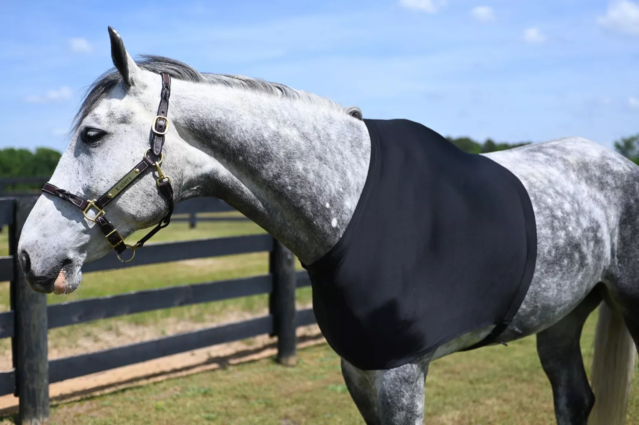 StretchX Shoulder Guard