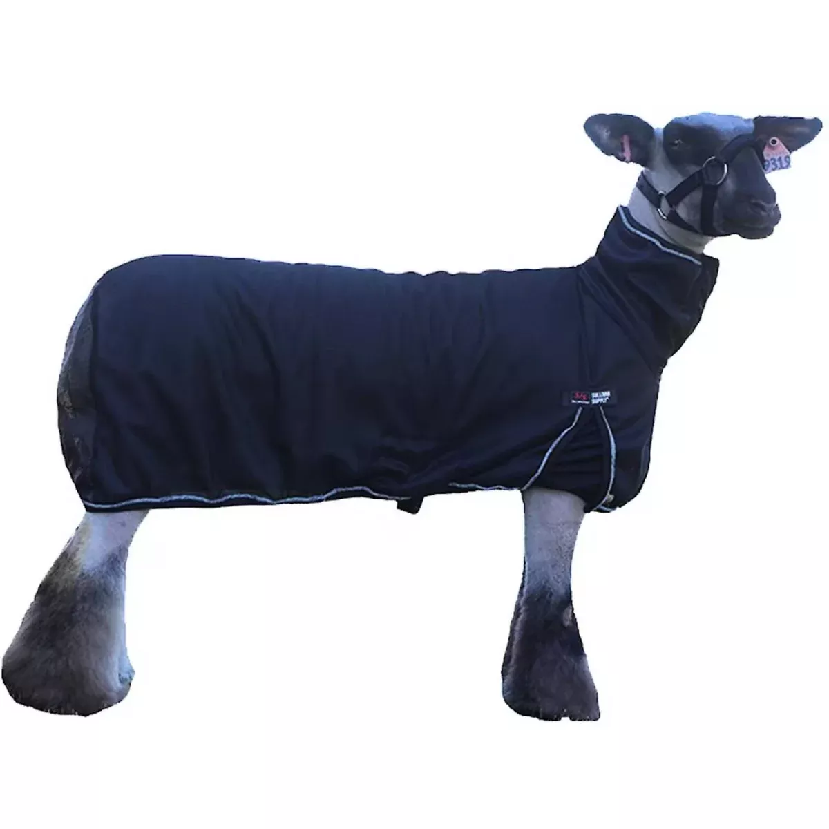 Sullivan's Cool Tech Sheep Blanket