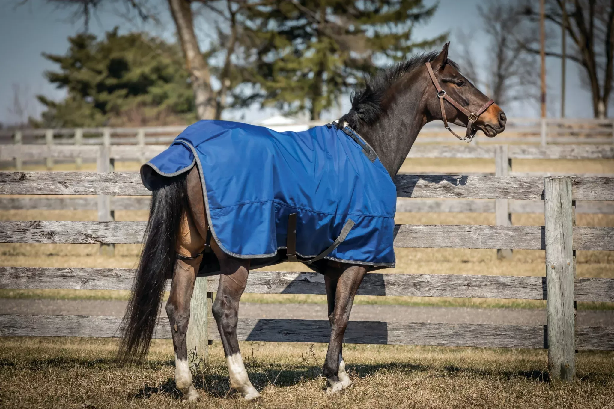 Super Hug 360g Heavyweight 2520D Turnout Blanket