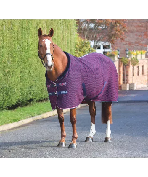 TEMPEST ORIGINAL TEAM SHIRES RUG - SHIRES