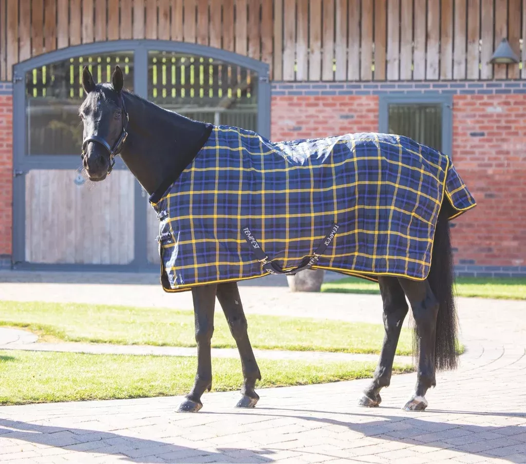 TEMPEST PLUS LITE STABLE RUG - SHIRES