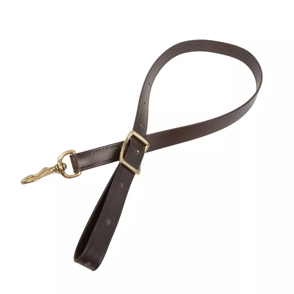 Teskey's Biothane Tie Down