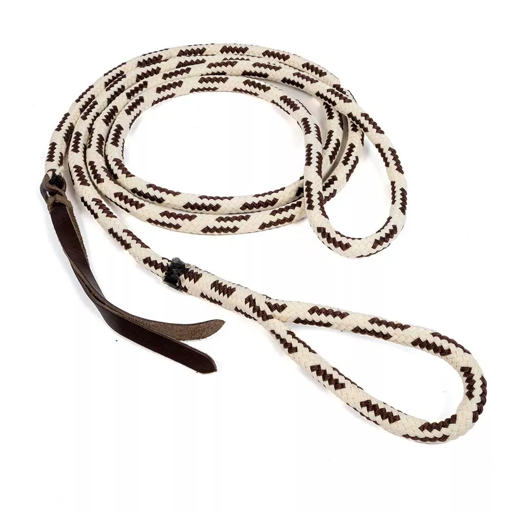 Teskey's Eye Slide Lead Rope