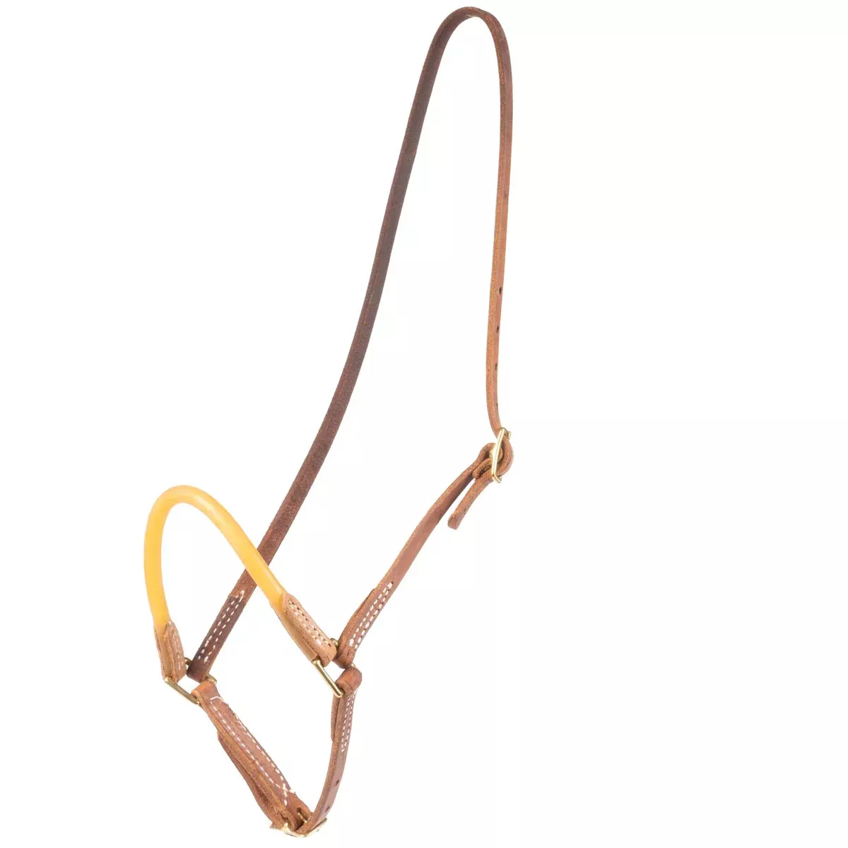Teskey's Surgical Tubing Cavesson