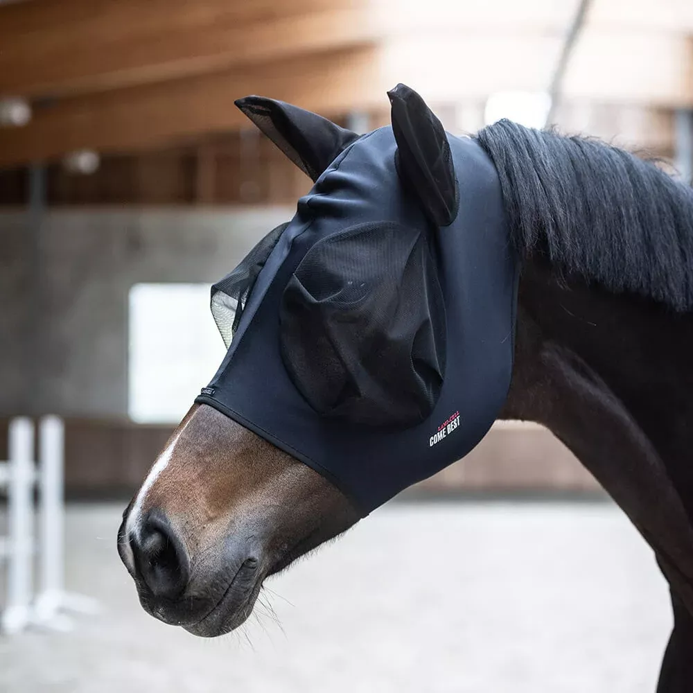 Titanium Fly Mask Come Best