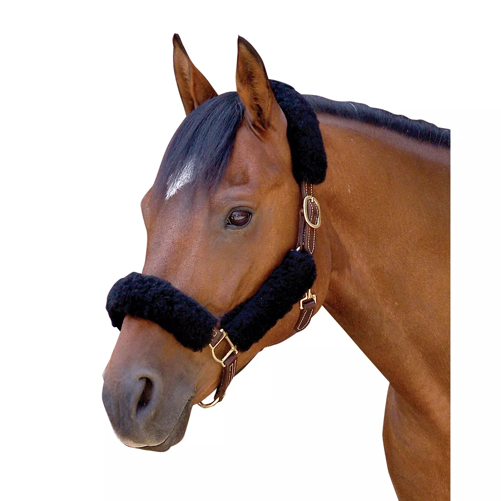 Toklat CoolBack 4-Piece Halter Tube Set