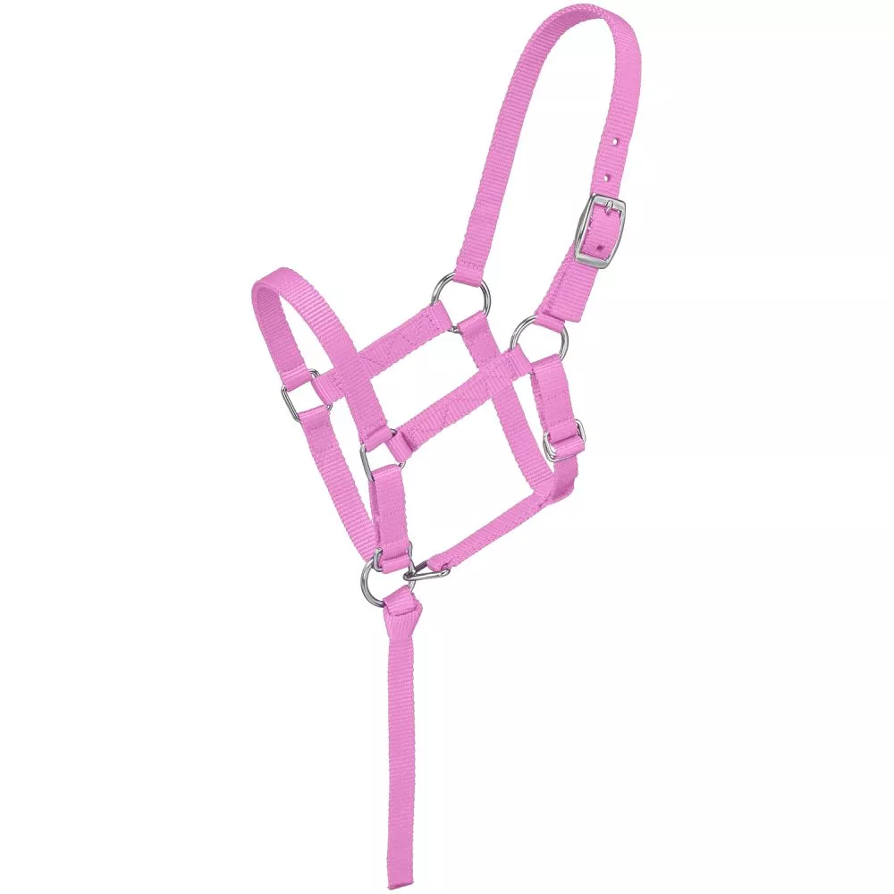 Tough1 Adjustable Weanling Halter