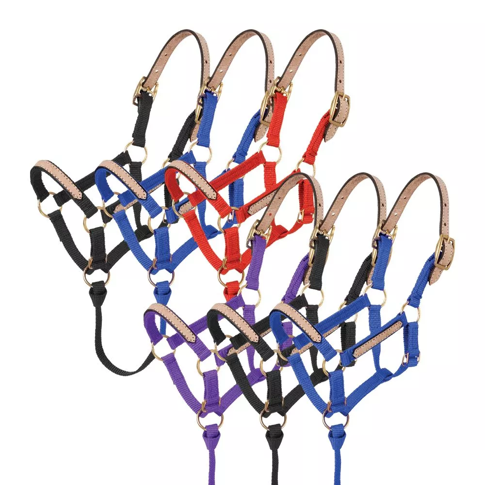 Tough1 Miniature Nylon Breakaway Halter – 6 Pack