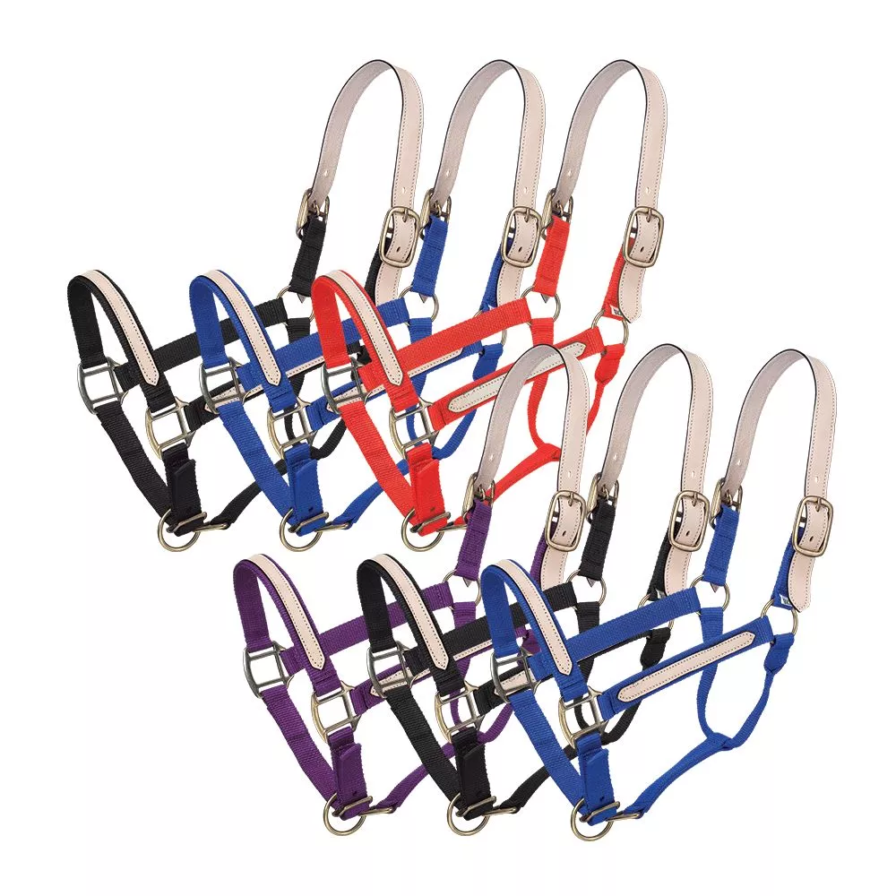 Tough1 Nylon Breakaway Halter – 6 Pack