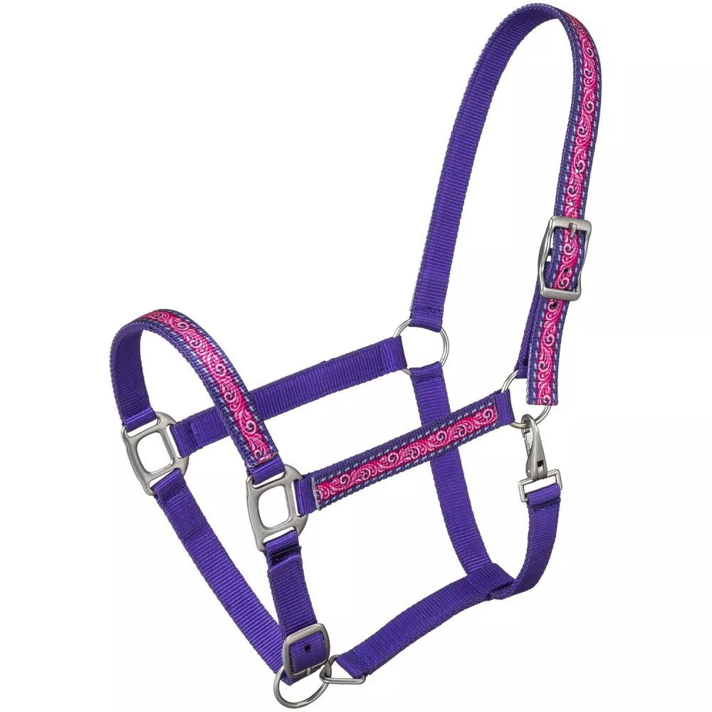 Tough1 Nylon Halter with Purple Tooled Overlay