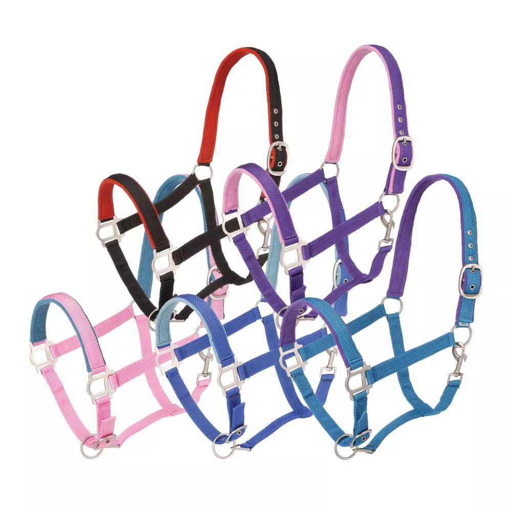 Tough1 Padded Horse Halter with Satin Hardware – 5 Pack