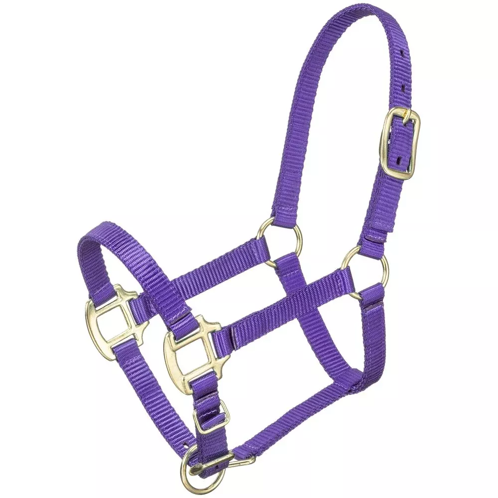 Tough1 Premium Halter – Miniature
