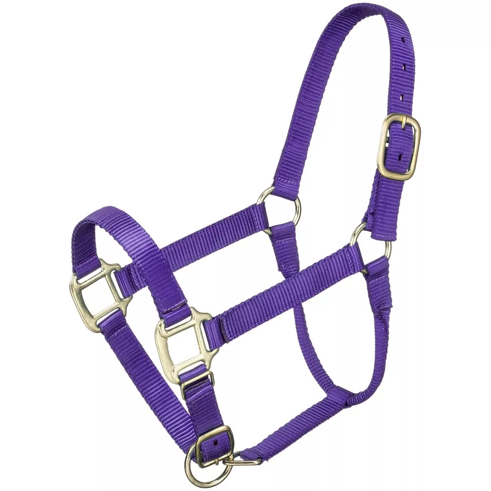 Tough1 Premium Halter – Pony