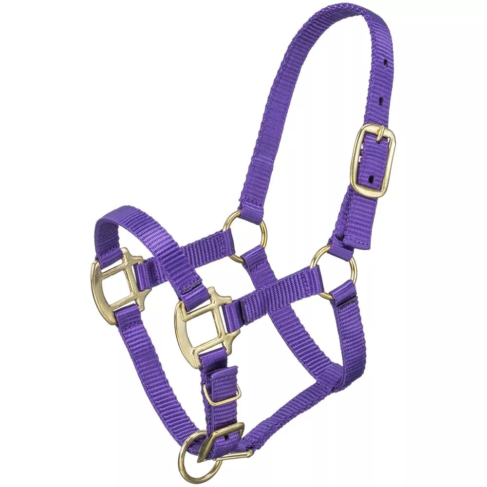 Tough1 Premium Halter – Suckling